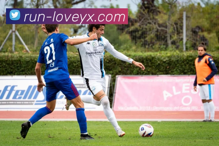 爱游戏平台生态图